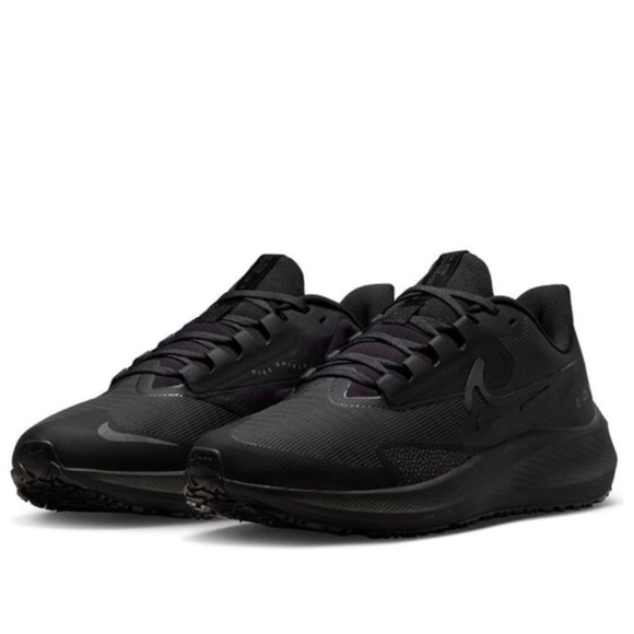Nike Other - NWOT / Nike Air Zoom Pegasus 39 Shield